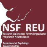 Site icon for Brooklyn College REU in Neuroscience